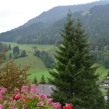 Spillgerten-blick By Interhome Appartamento Zweisimmen