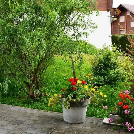 Apartament Spillgerten-blick By Interhome