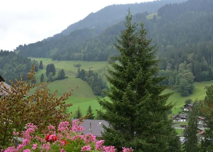 Spillgerten-blick By Interhome Apartament Zweisimmen